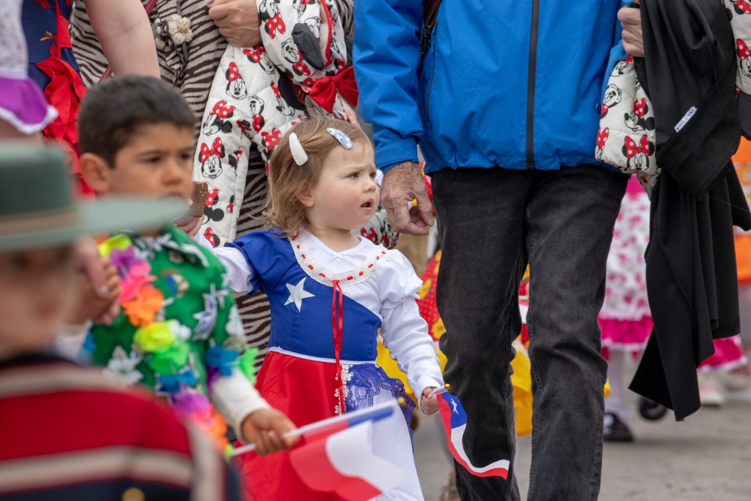 Desfile Fiestas Patrias 2025 (165)