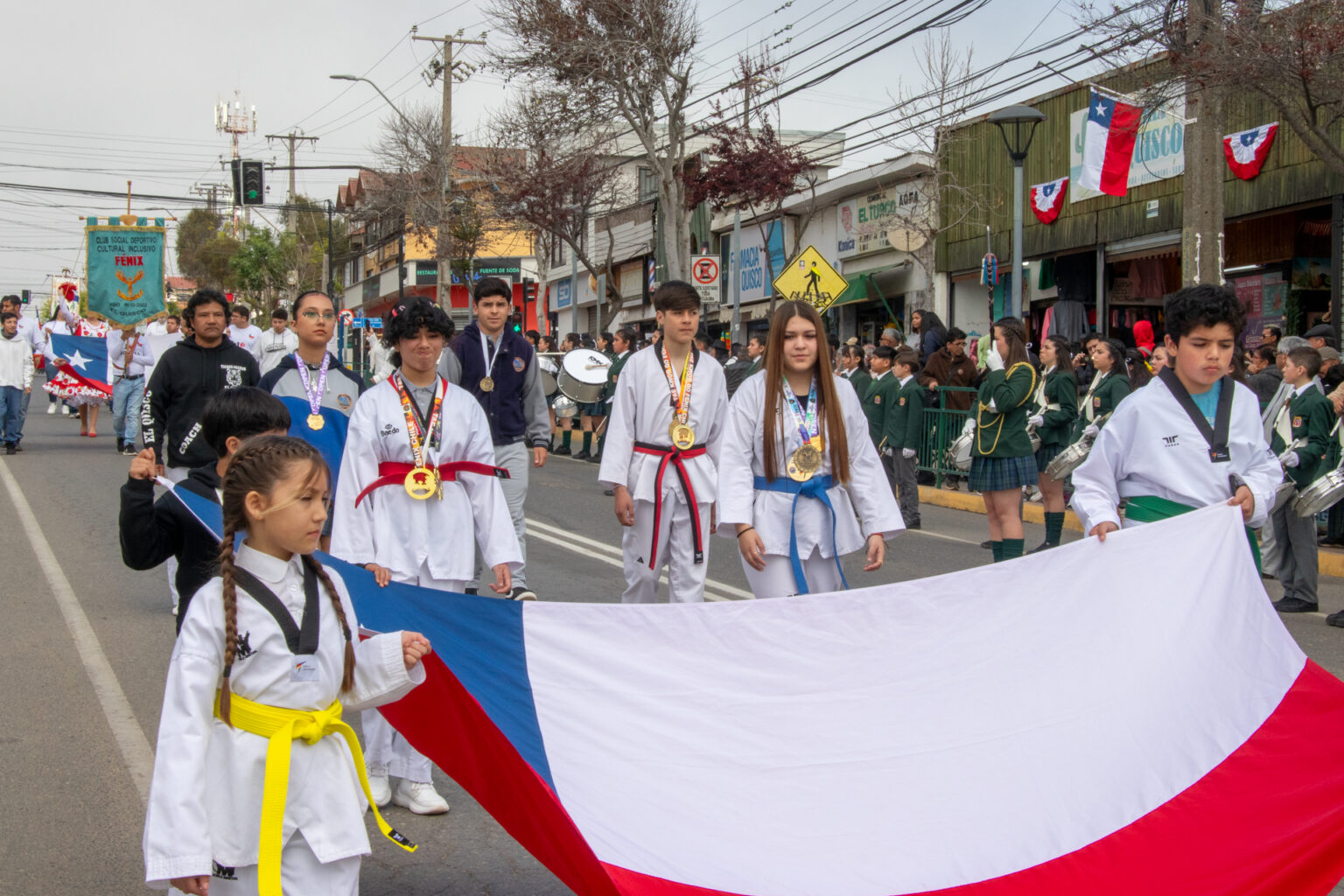 Desfile Fiestas Patrias 2025 (225)